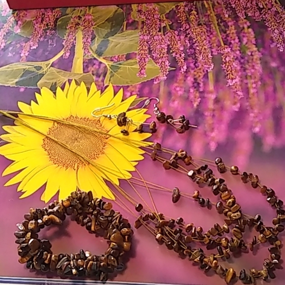 Necklace Earring Bracelet Set, Brown Stones - Picture 2 of 5